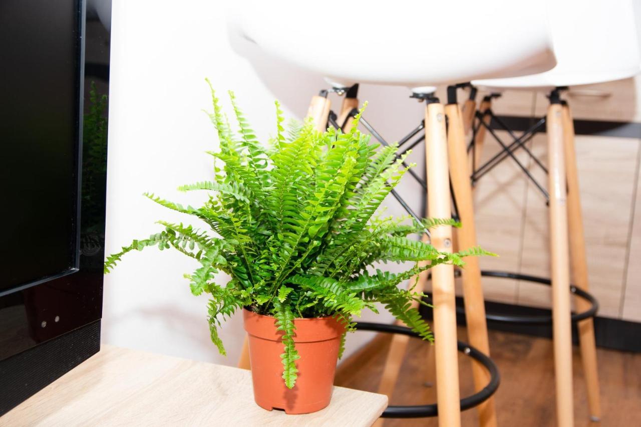 Cosy Studio In Nové Zámky エクステリア 写真